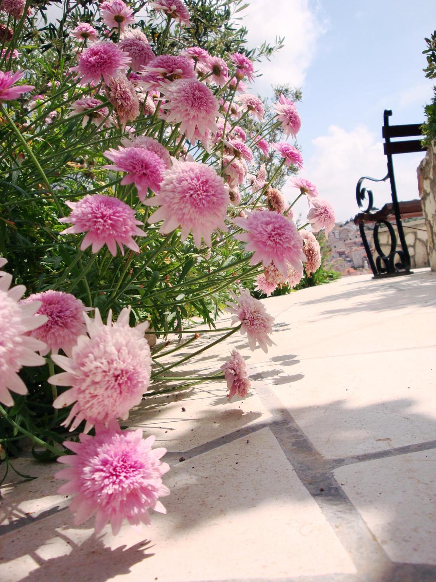 Apartments Olive Tree Hvar Town Bagian luar foto
